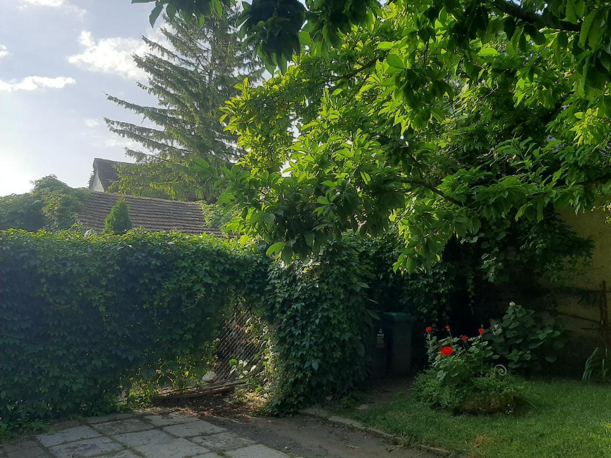 Pensiunea Magnolia Prejmer Esterno foto