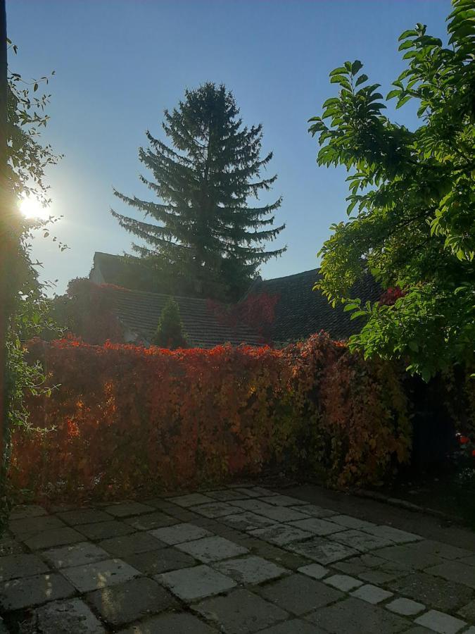 Pensiunea Magnolia Prejmer Esterno foto