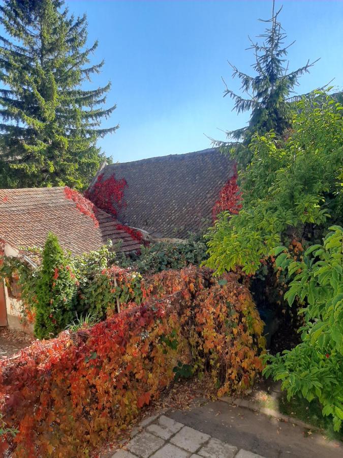 Pensiunea Magnolia Prejmer Esterno foto