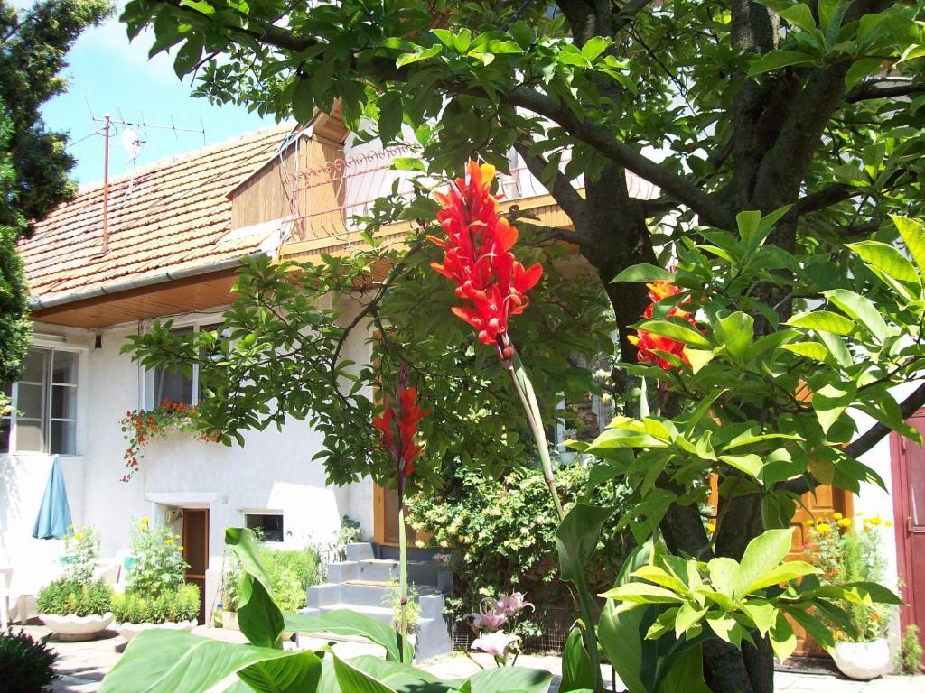 Pensiunea Magnolia Prejmer Esterno foto