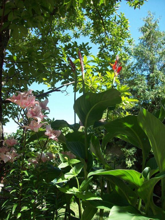 Pensiunea Magnolia Prejmer Esterno foto