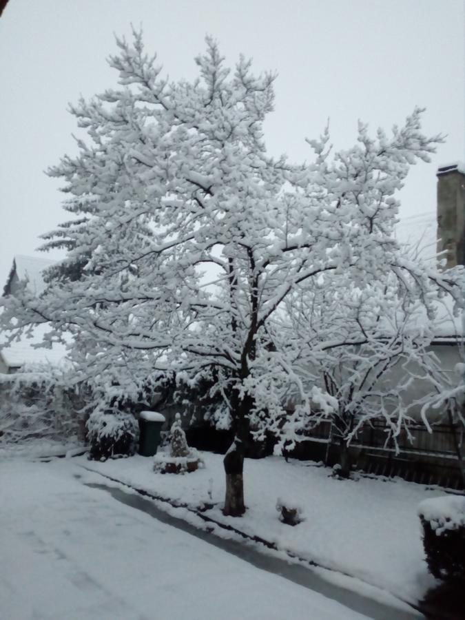 Pensiunea Magnolia Prejmer Esterno foto